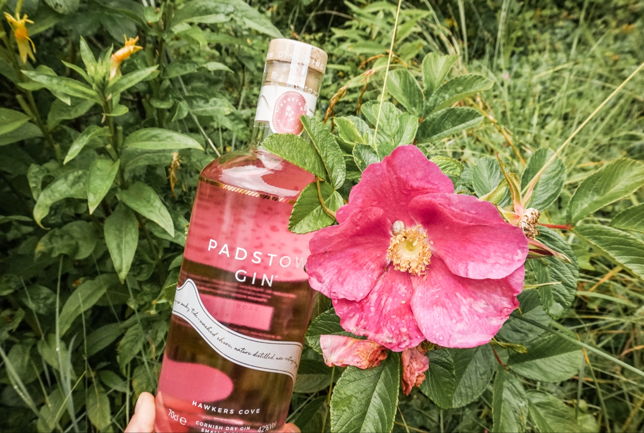 Padstow Distilling Rose Gin